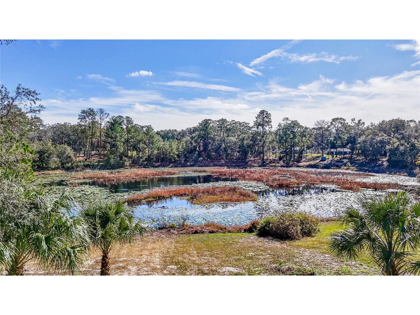 16450 SE 57th Place Ocklawaha FL 32179 OM693319 image49