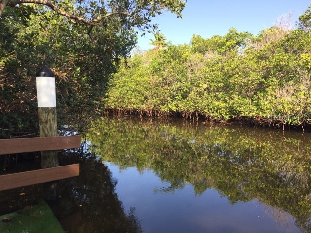 16451 Cape Horn Boulevard Punta Gorda FL 33955 - Eagle Lake C7496436 image21