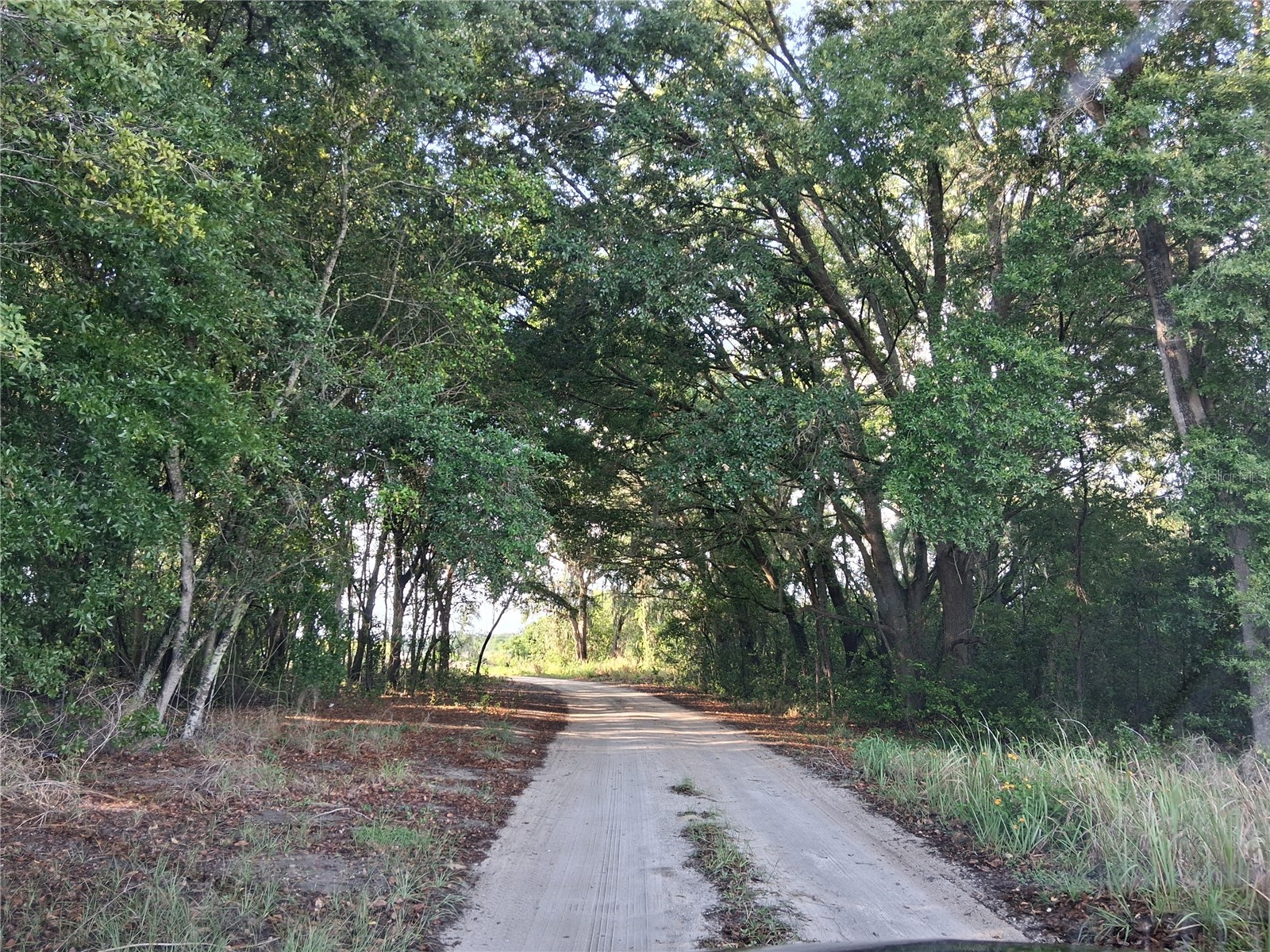 16451 Forrest Lane Groveland FL 34736 - BLUFF LK G5111569 image2