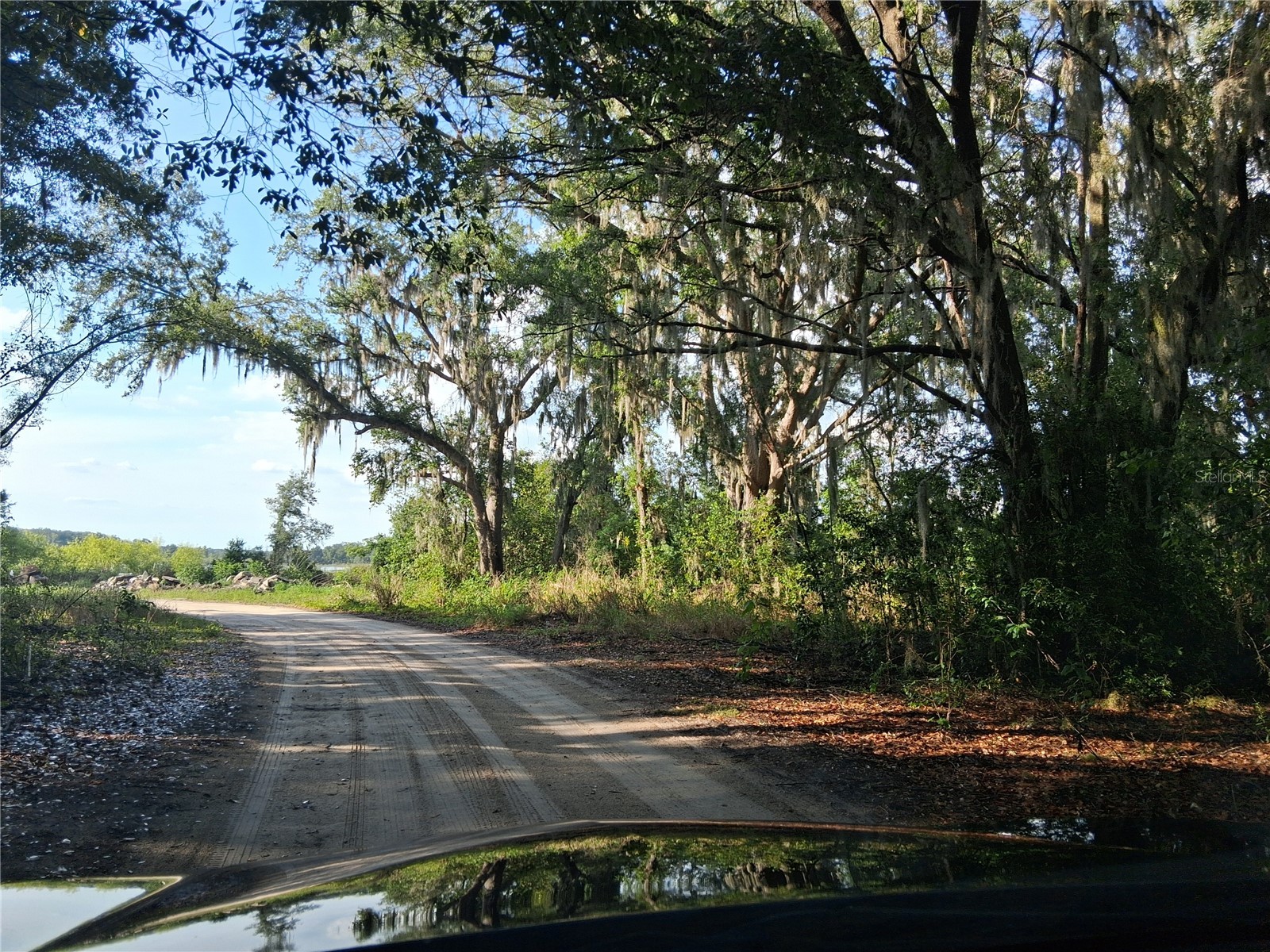 16451 Forrest Lane Groveland FL 34736 - BLUFF LK G5111569 image3