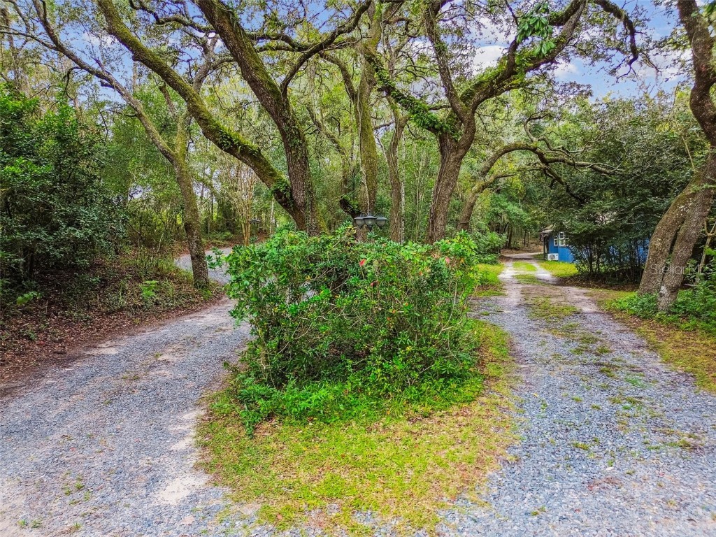 16453 Pawnee Drive Brooksville FL 34601 TB8454533 image71