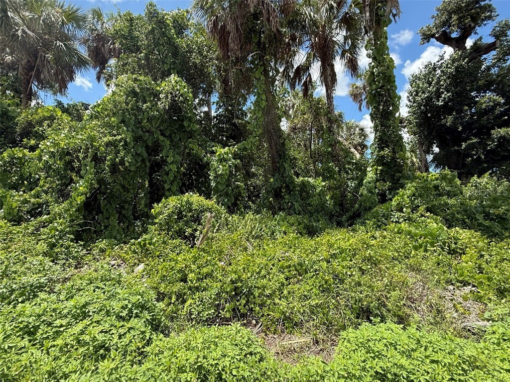 16459 Bauers Avenue Port Charlotte FL 33954 OK225304 image3