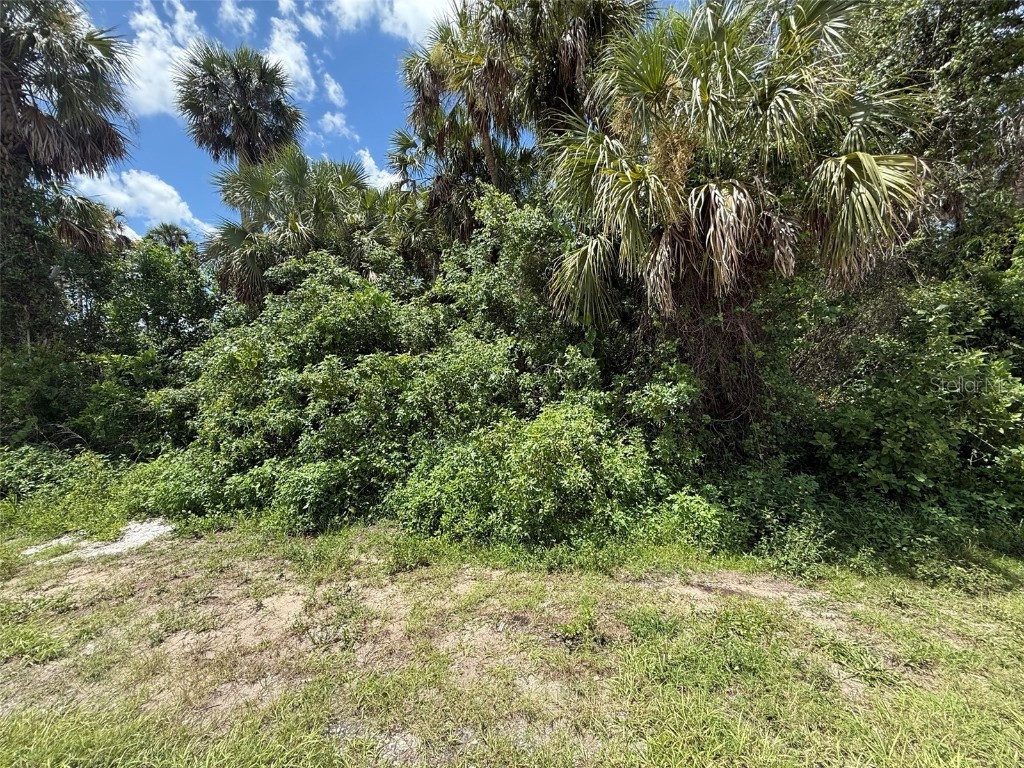 16459 Bauers Avenue Port Charlotte FL 33954 OK225304 image5