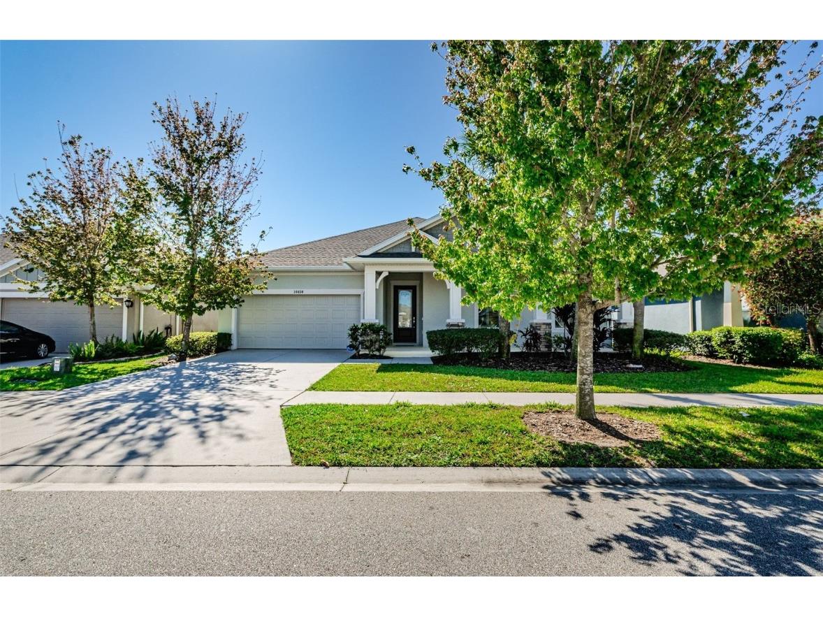 16459 Courtyard Loop Land O Lakes FL 34638 T3436053 image1