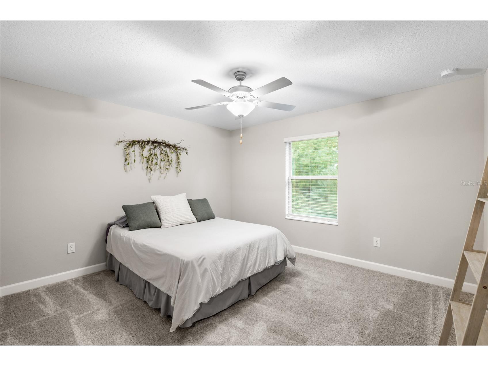 1646 Roseville Street Lutz FL 33549 TB8506855 image21