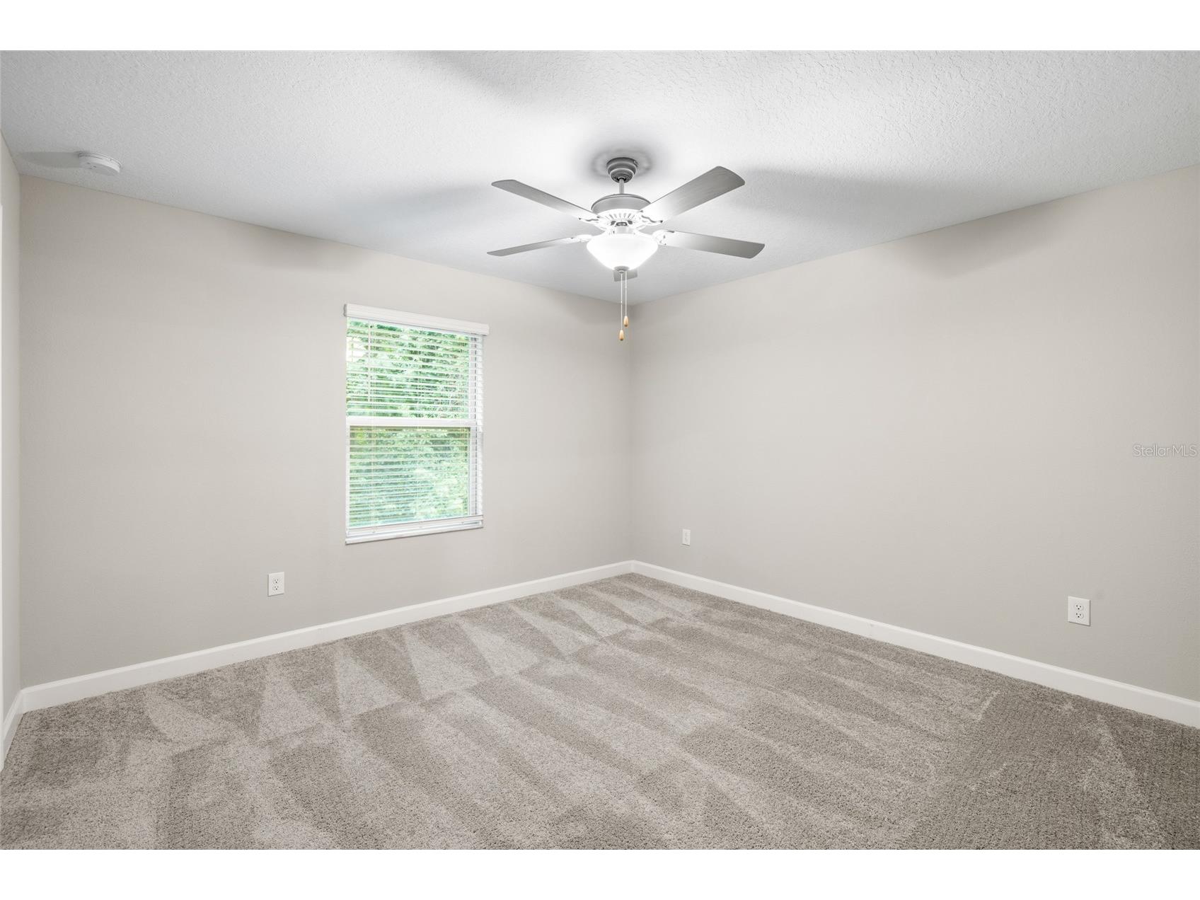 1646 Roseville Street Lutz FL 33549 TB8506855 image27