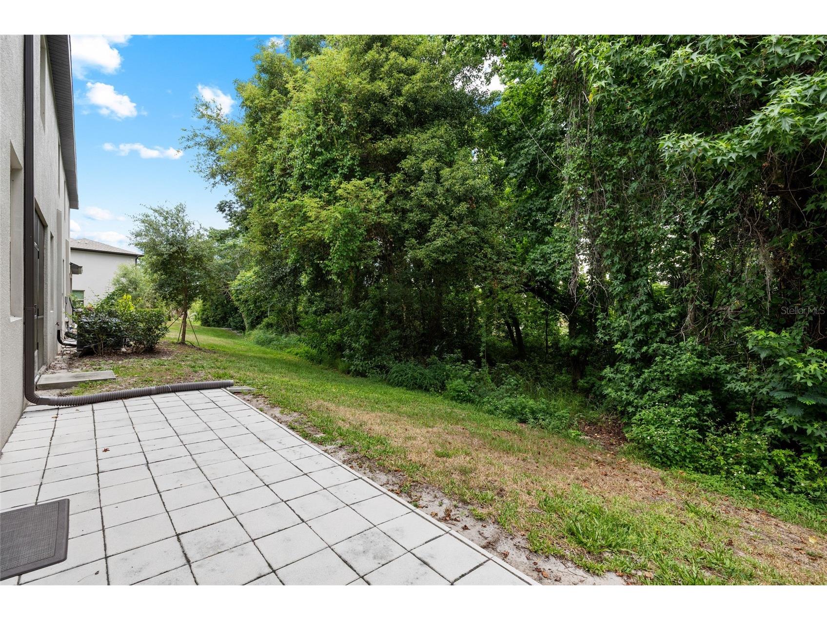 1646 Roseville Street Lutz FL 33549 TB8506855 image32