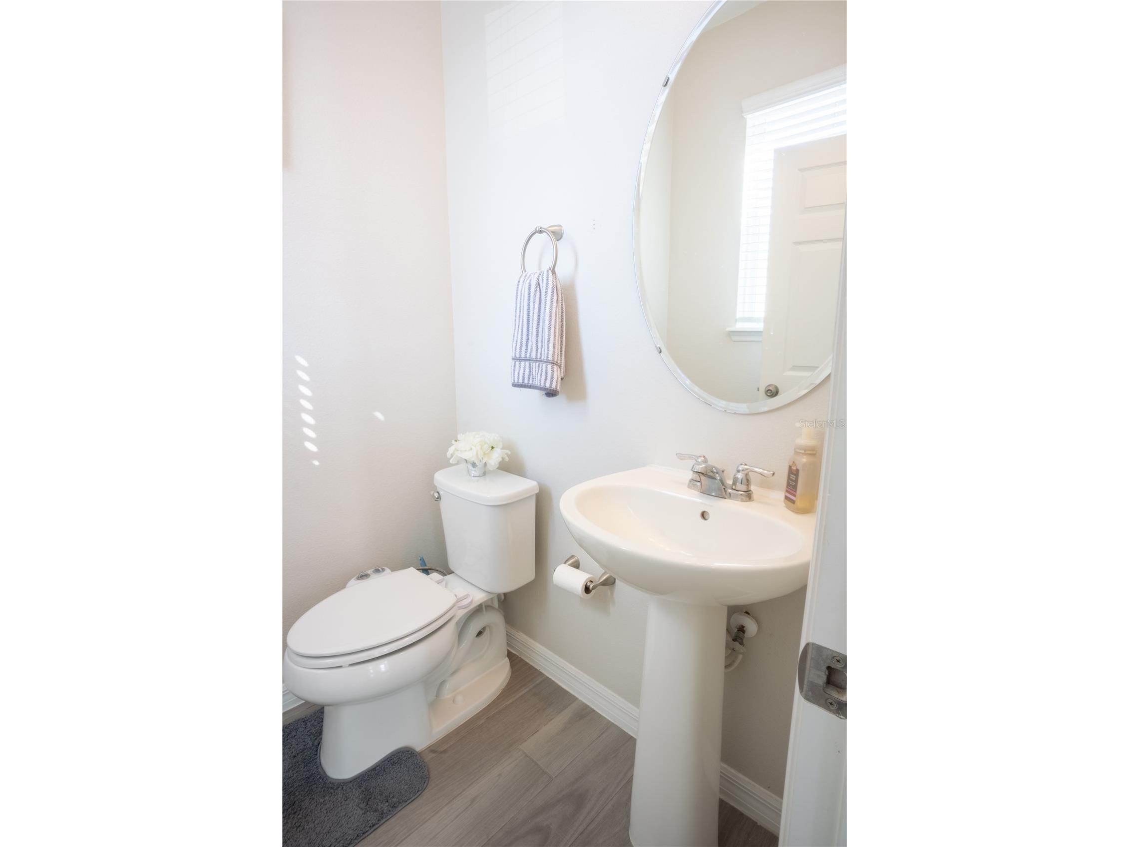16461 Olive Hill Drive Winter Garden FL 34787 O6379181 image10