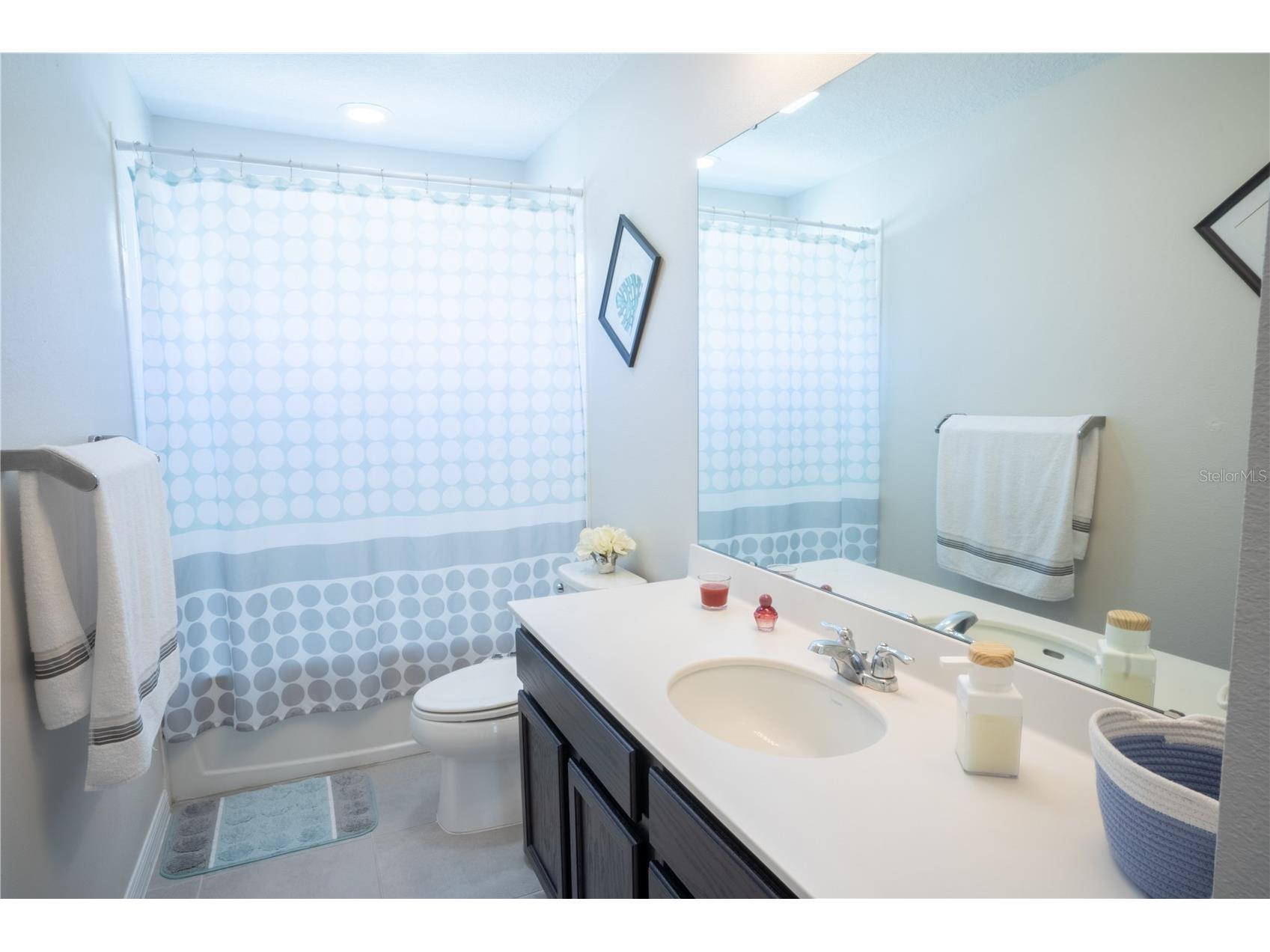 16461 Olive Hill Drive Winter Garden FL 34787 O6379181 image28
