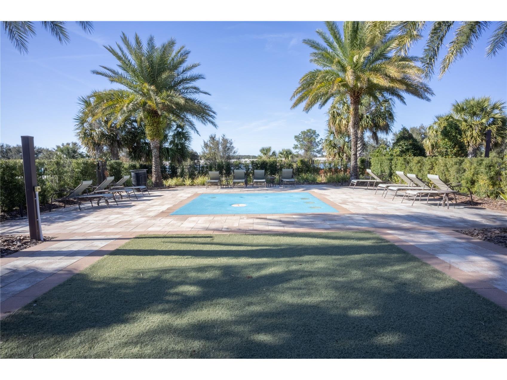 16461 Olive Hill Drive Winter Garden FL 34787 O6379181 image47