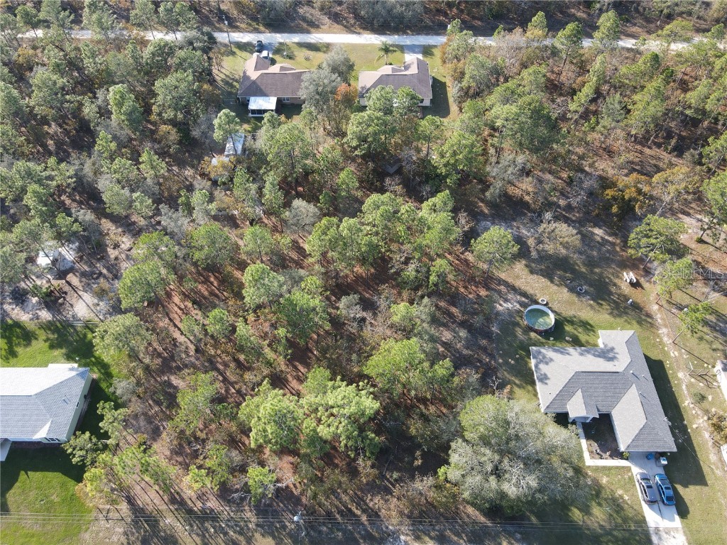 16463 Scaup Duck Avenue Weeki Wachee FL 34614 T3490414 image1