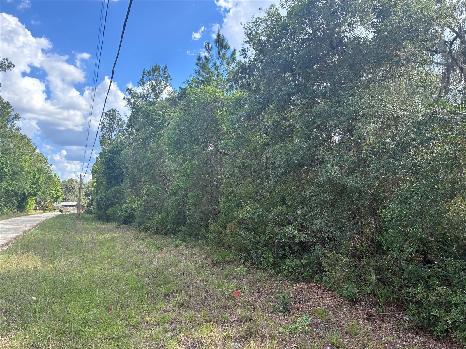 16464 NE 35 Road Citra FL 32113 OM725075 image1