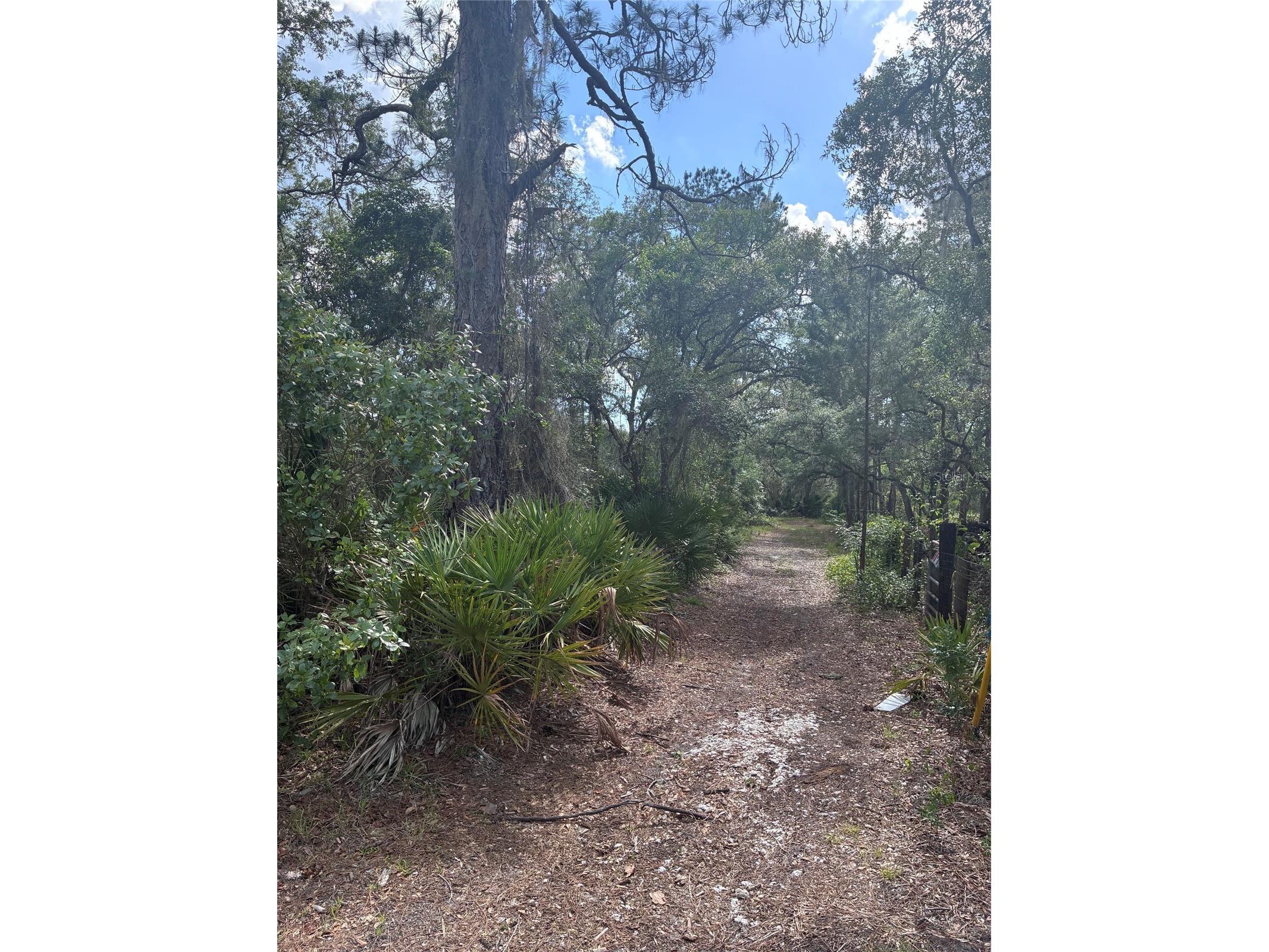 16464 NE 35 Road Citra FL 32113 OM725075 image2