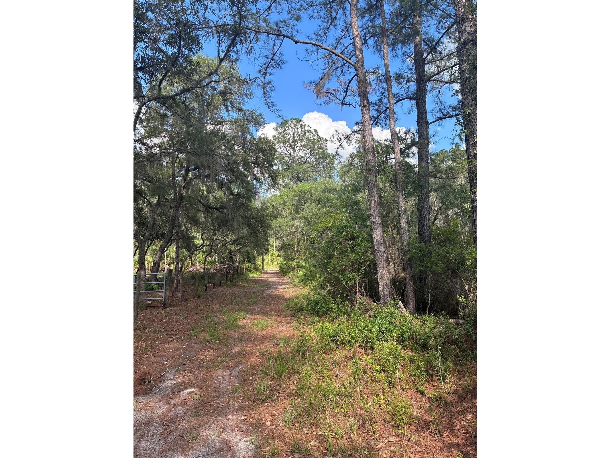 16464 NE 35 Road Citra FL 32113 OM725075 image3