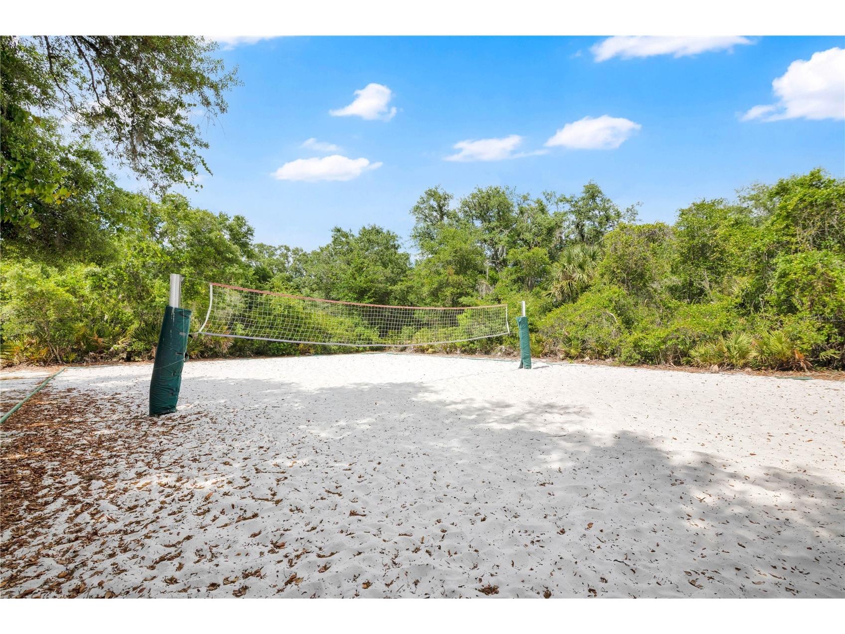 16467 Glassy Loch Loop Clermont FL 34714 O6401883 image21