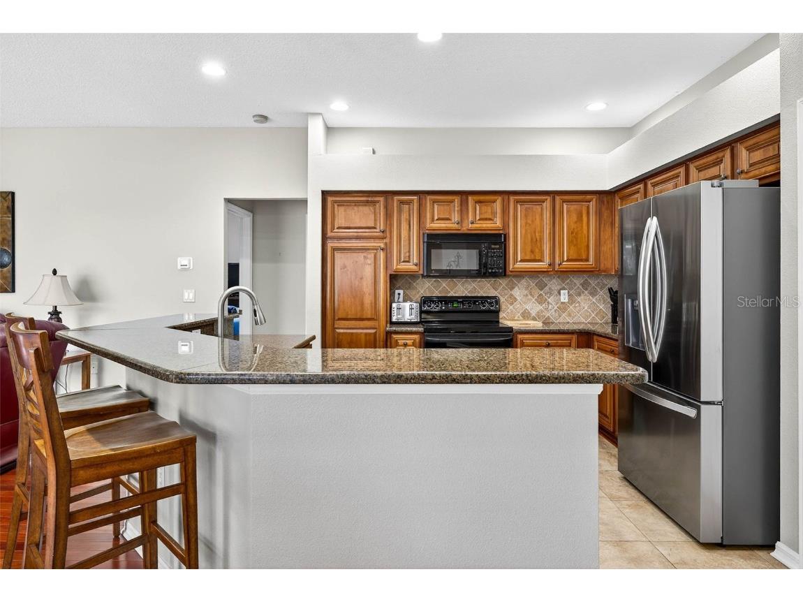 16469 Turnbury Oak Drive Odessa FL 33556 TB8418376 image10