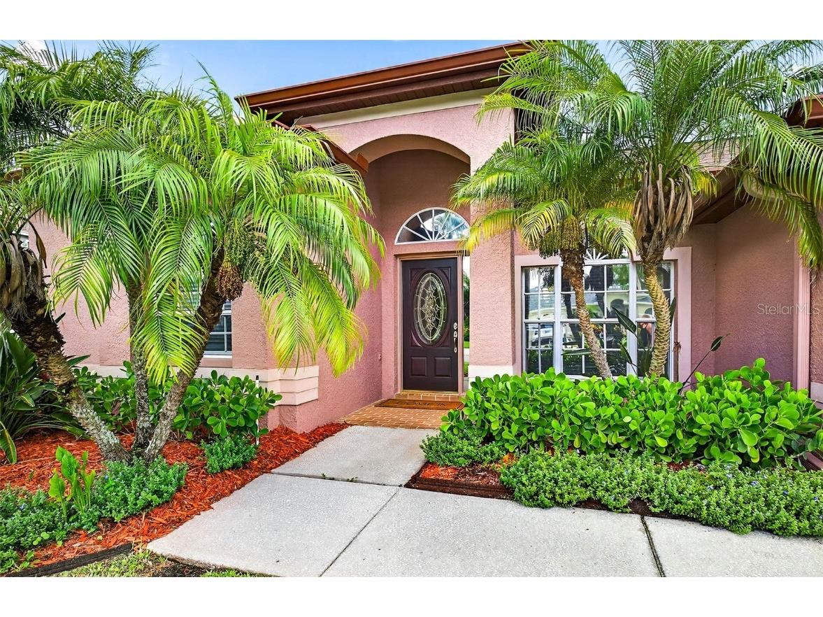 16469 Turnbury Oak Drive Odessa FL 33556 TB8418376 image2