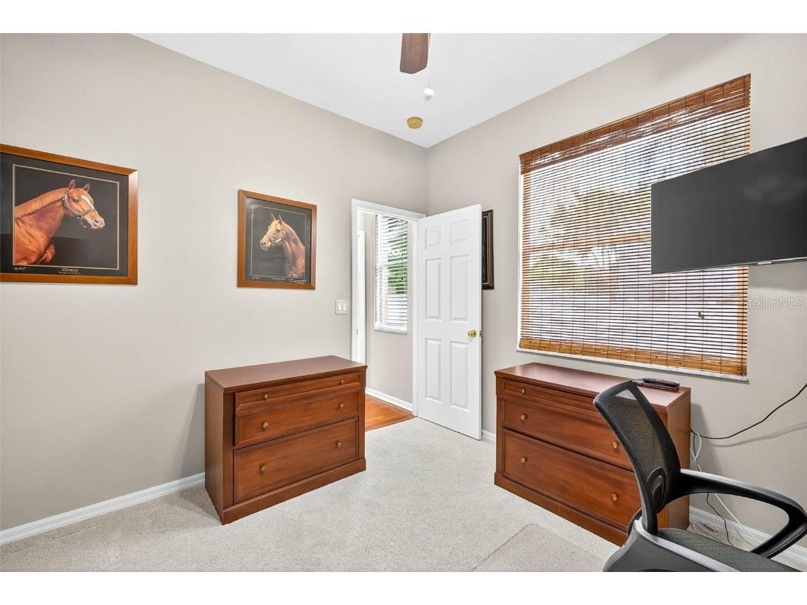 16469 Turnbury Oak Drive Odessa FL 33556 TB8418376 image20