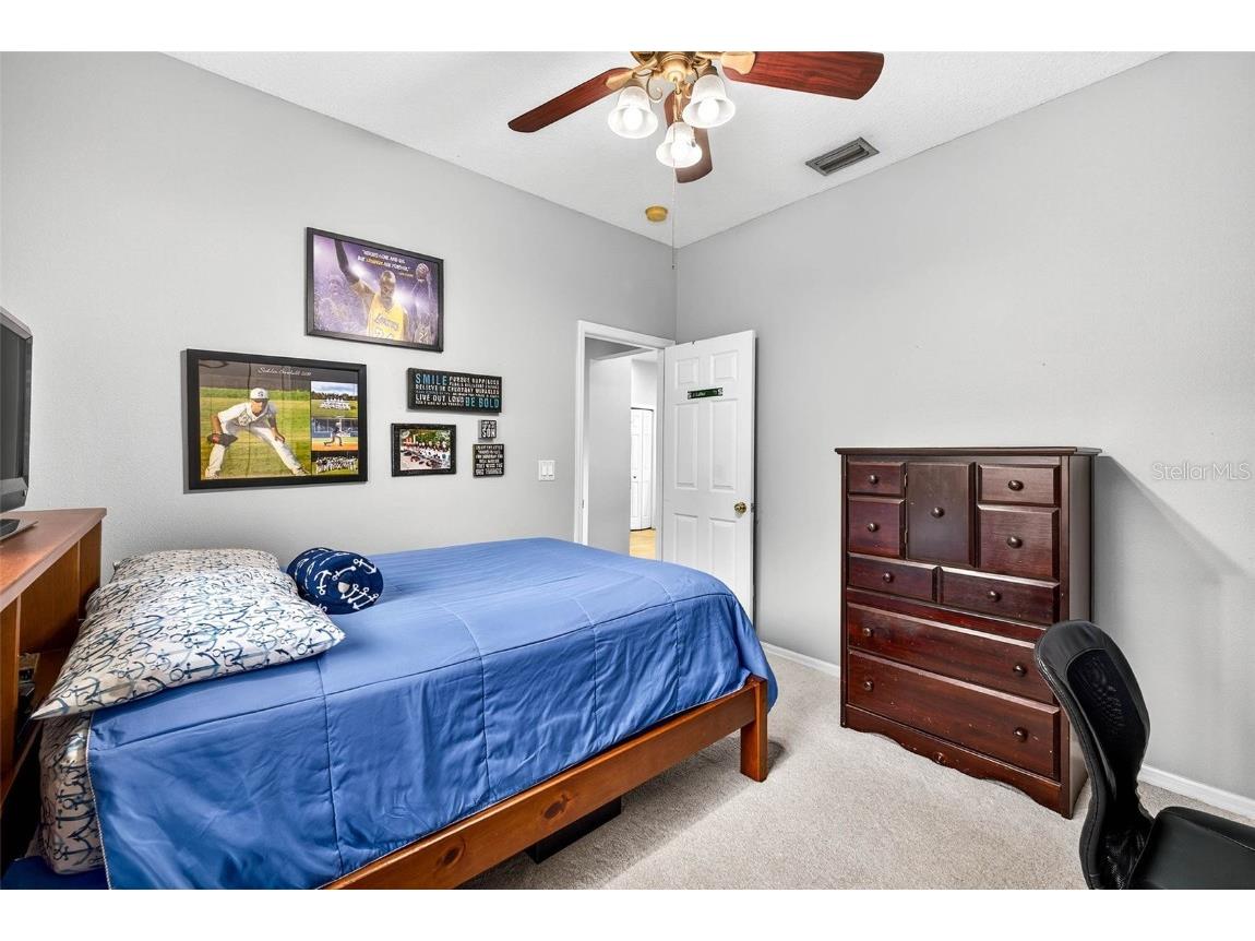 16469 Turnbury Oak Drive Odessa FL 33556 TB8418376 image24