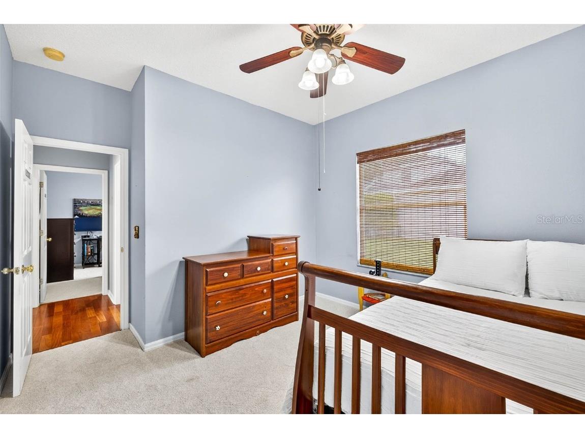 16469 Turnbury Oak Drive Odessa FL 33556 TB8418376 image26