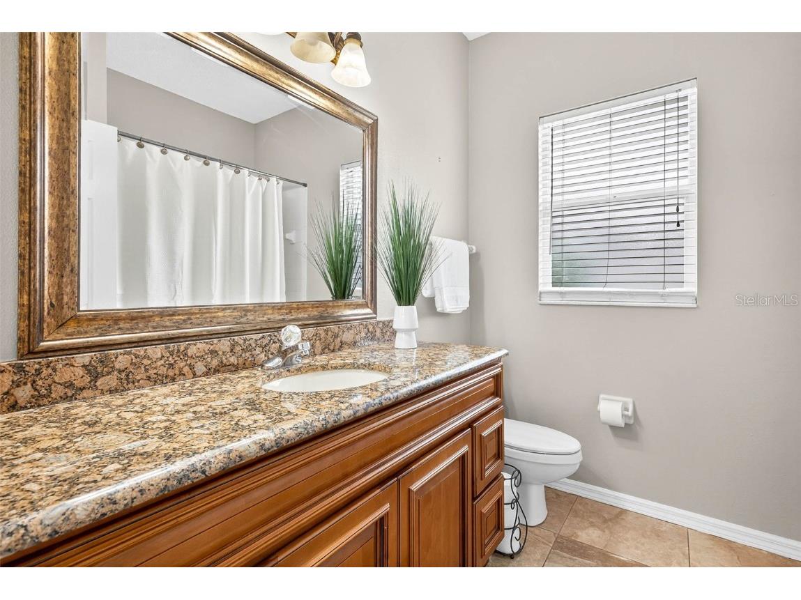 16469 Turnbury Oak Drive Odessa FL 33556 TB8418376 image27