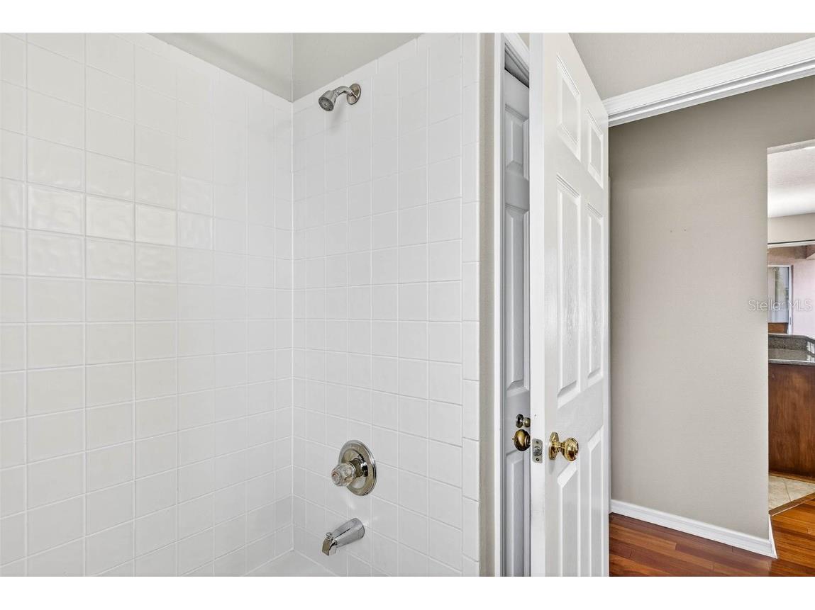 16469 Turnbury Oak Drive Odessa FL 33556 TB8418376 image28