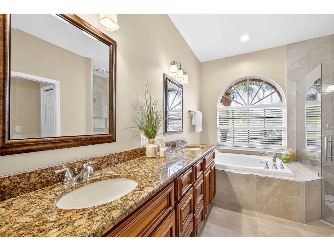 16469 Turnbury Oak Drive Odessa FL 33556 TB8418376 image33