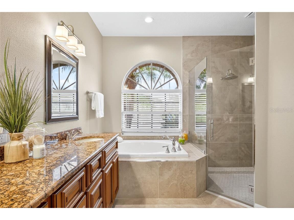 16469 Turnbury Oak Drive Odessa FL 33556 TB8418376 image34