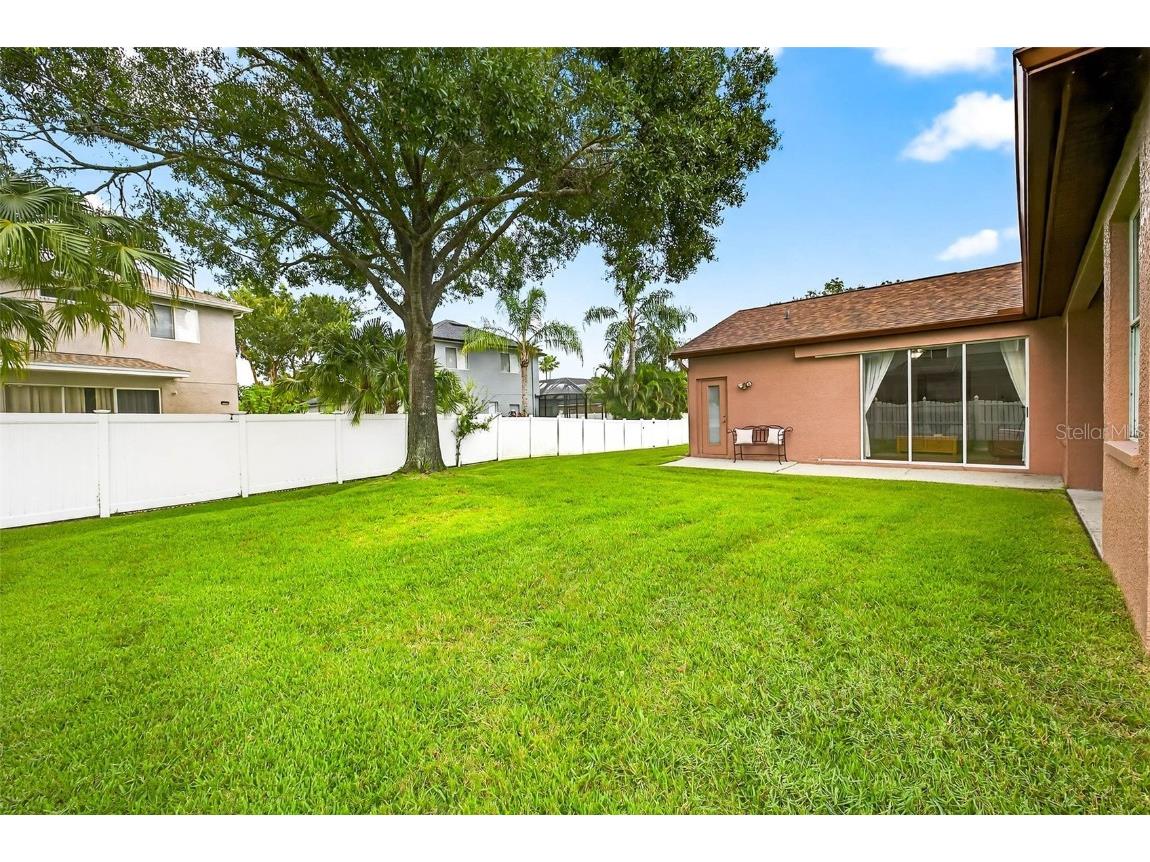 16469 Turnbury Oak Drive Odessa FL 33556 TB8418376 image39