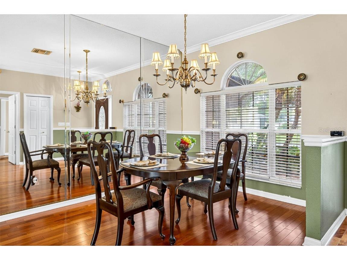 16469 Turnbury Oak Drive Odessa FL 33556 TB8418376 image4