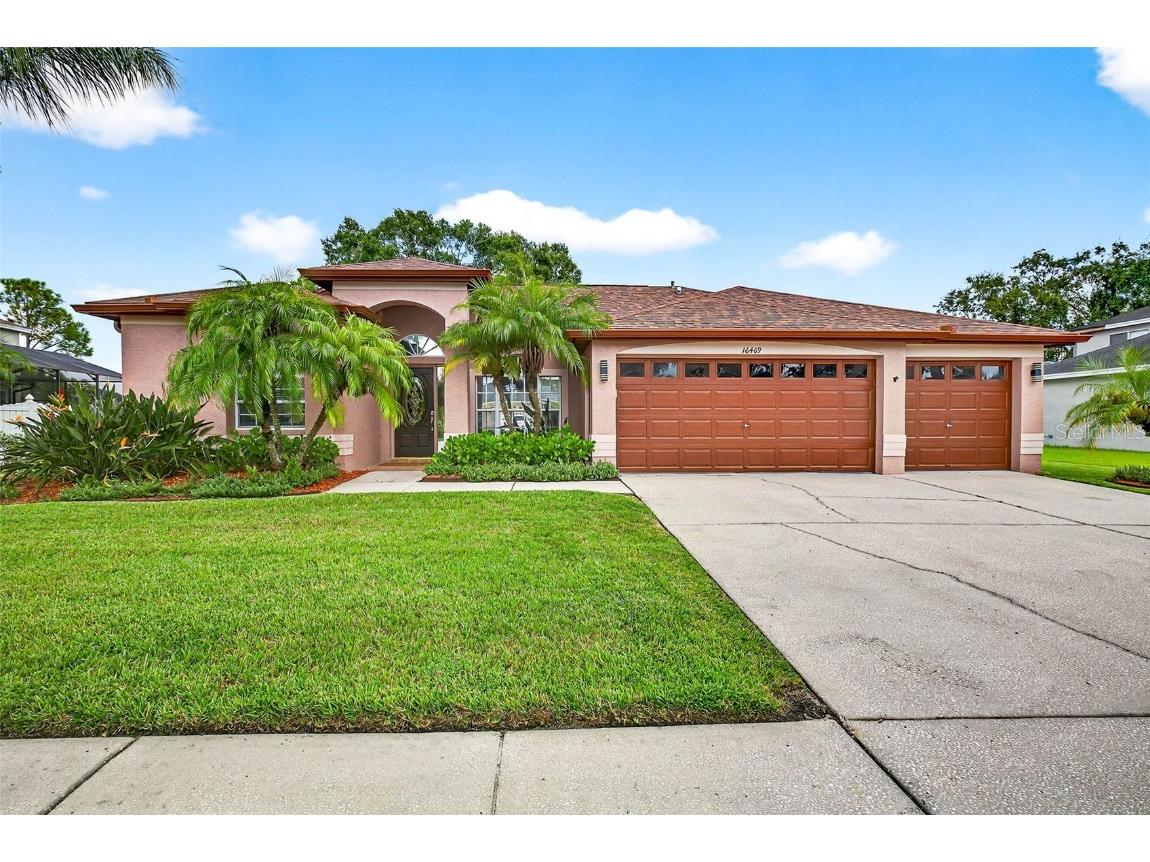 16469 Turnbury Oak Drive Odessa FL 33556 TB8418376 image46