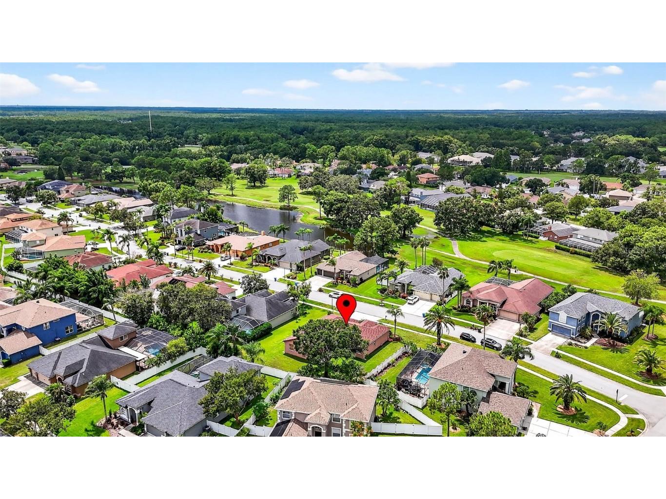 16469 Turnbury Oak Drive Odessa FL 33556 TB8418376 image47