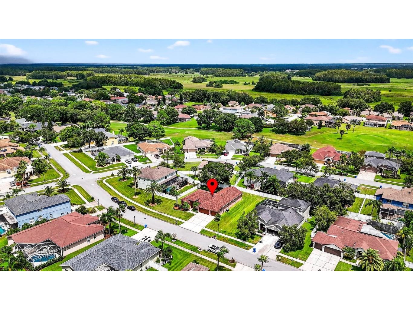 16469 Turnbury Oak Drive Odessa FL 33556 TB8418376 image48