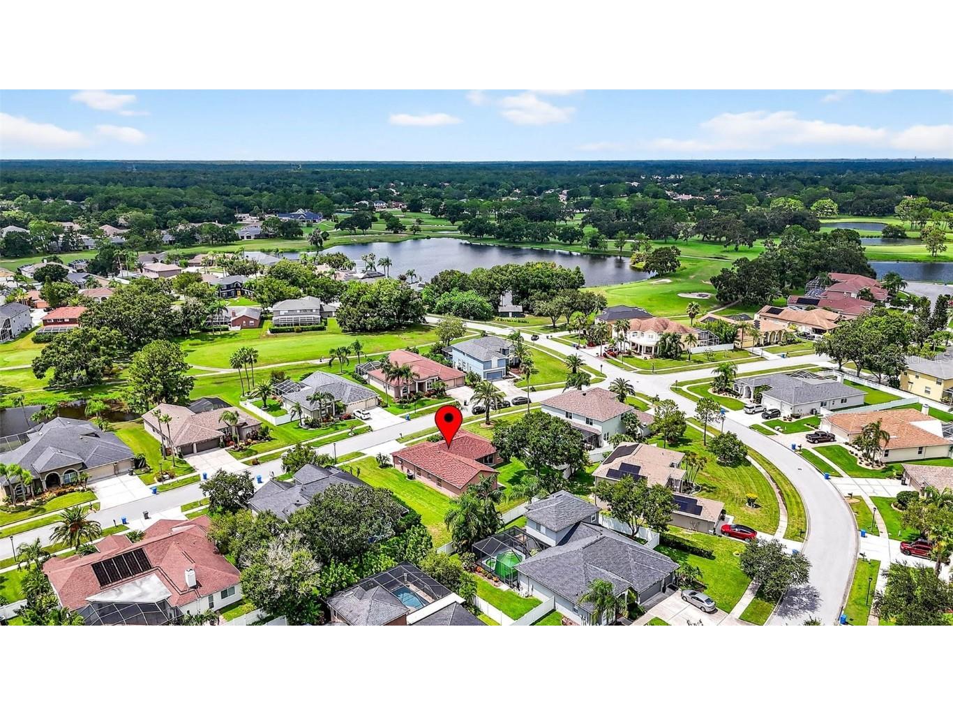 16469 Turnbury Oak Drive Odessa FL 33556 TB8418376 image49