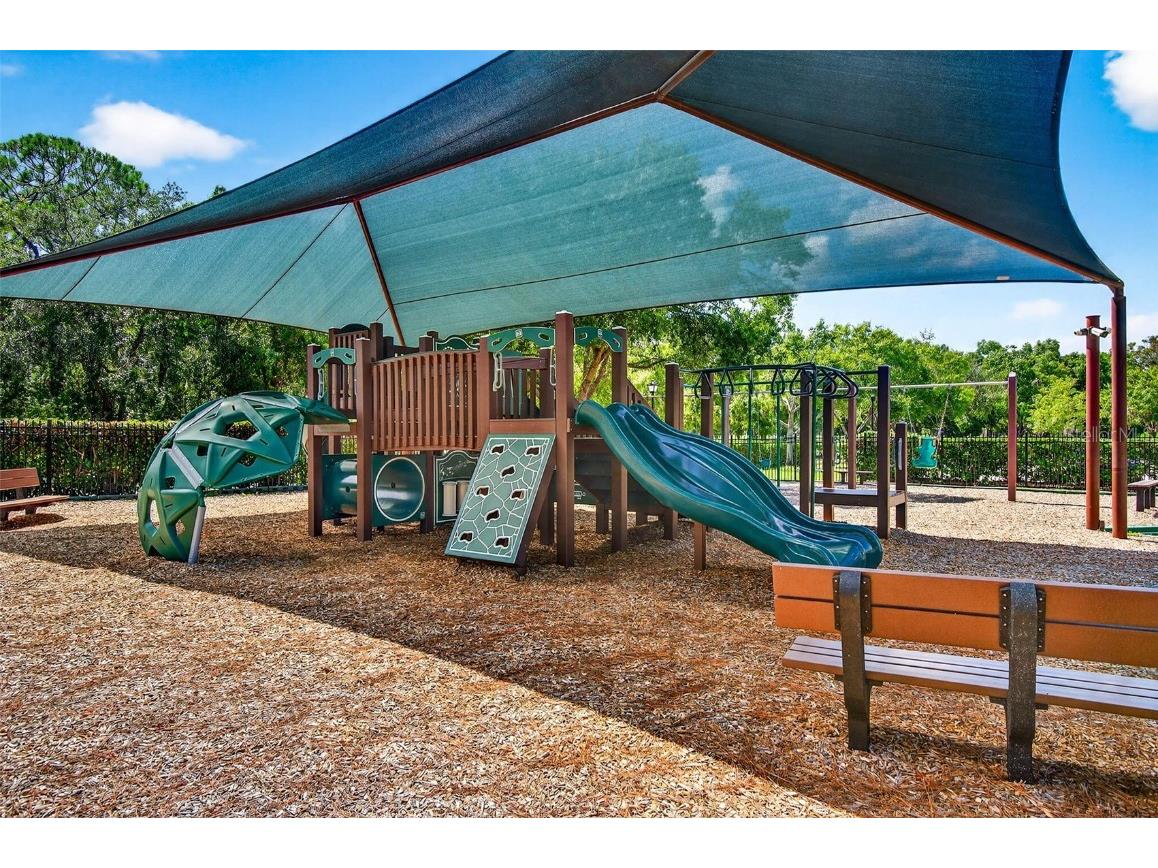 16469 Turnbury Oak Drive Odessa FL 33556 TB8418376 image51