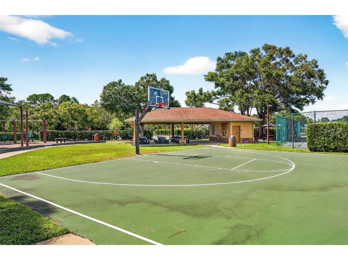 16469 Turnbury Oak Drive Odessa FL 33556 TB8418376 image53