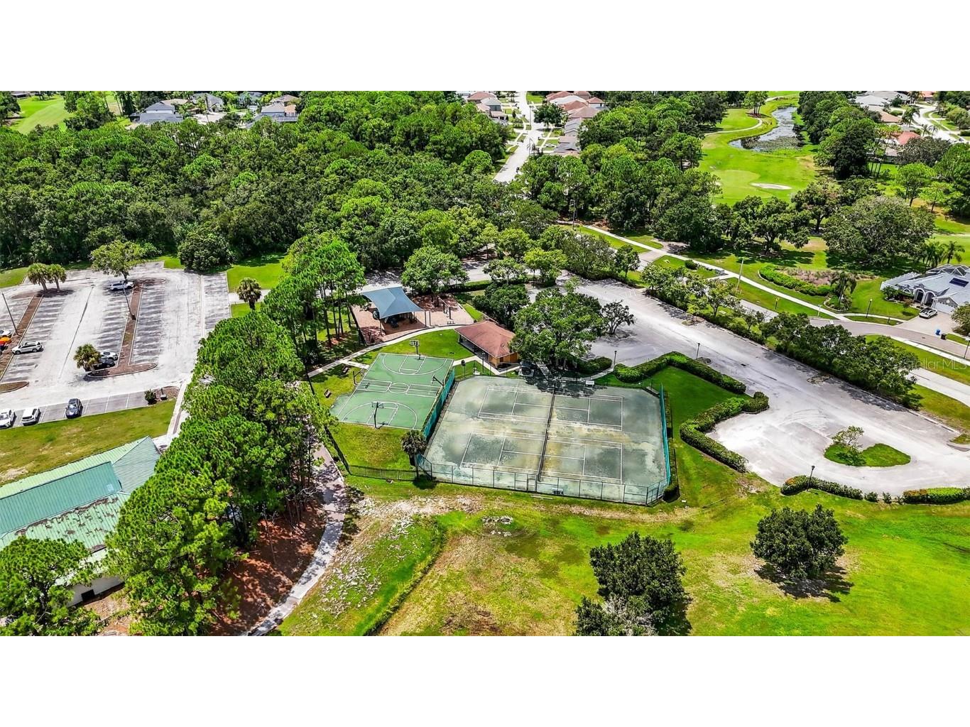 16469 Turnbury Oak Drive Odessa FL 33556 TB8418376 image57