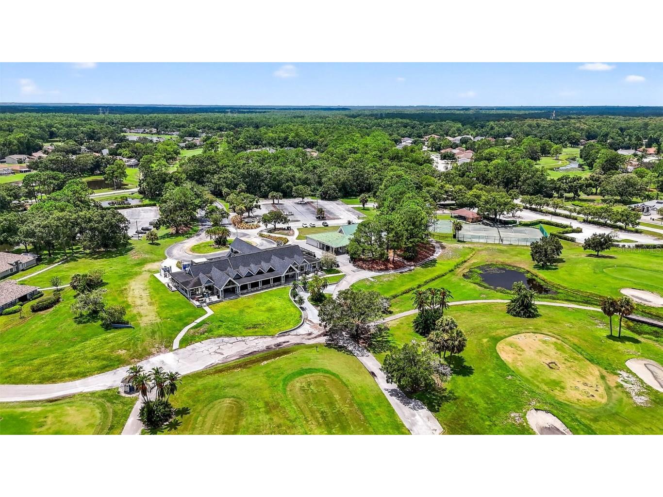 16469 Turnbury Oak Drive Odessa FL 33556 TB8418376 image58