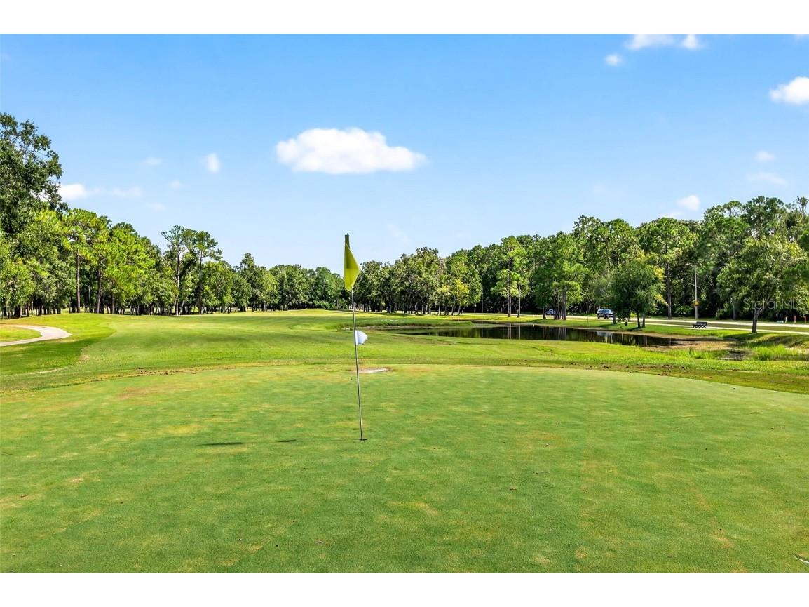 16469 Turnbury Oak Drive Odessa FL 33556 TB8418376 image59