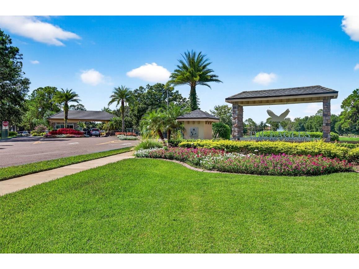 16469 Turnbury Oak Drive Odessa FL 33556 TB8418376 image60