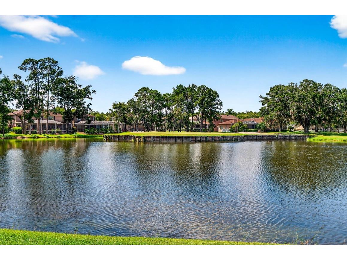 16469 Turnbury Oak Drive Odessa FL 33556 TB8418376 image61