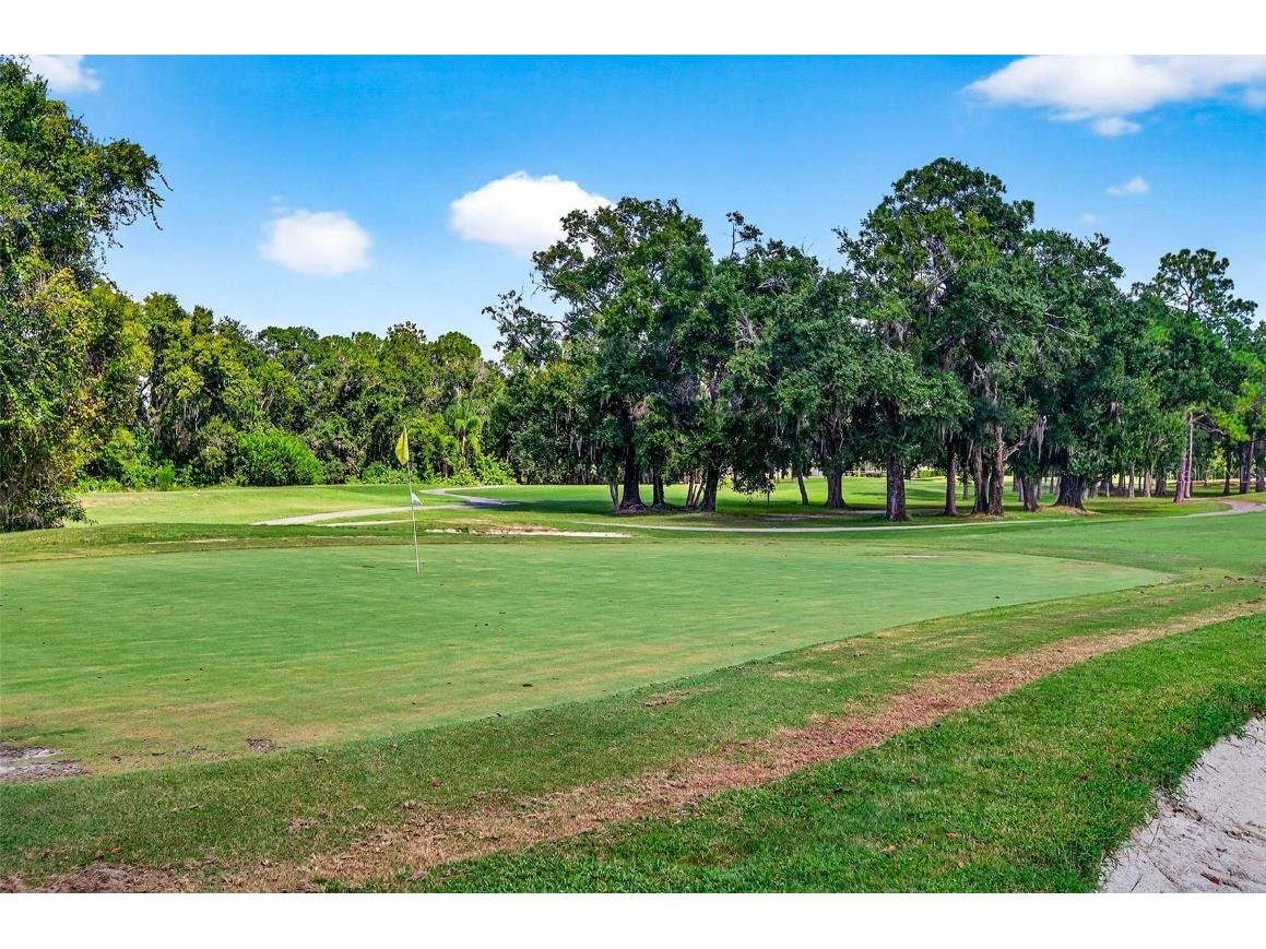 16469 Turnbury Oak Drive Odessa FL 33556 TB8418376 image62