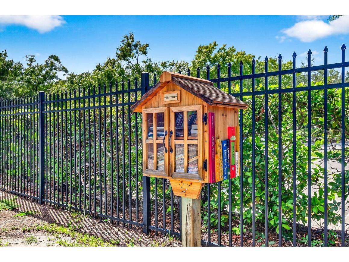 16469 Turnbury Oak Drive Odessa FL 33556 TB8418376 image63