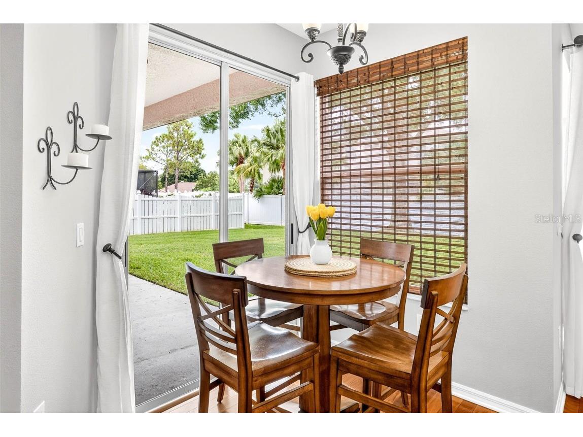 16469 Turnbury Oak Drive Odessa FL 33556 TB8418376 image9