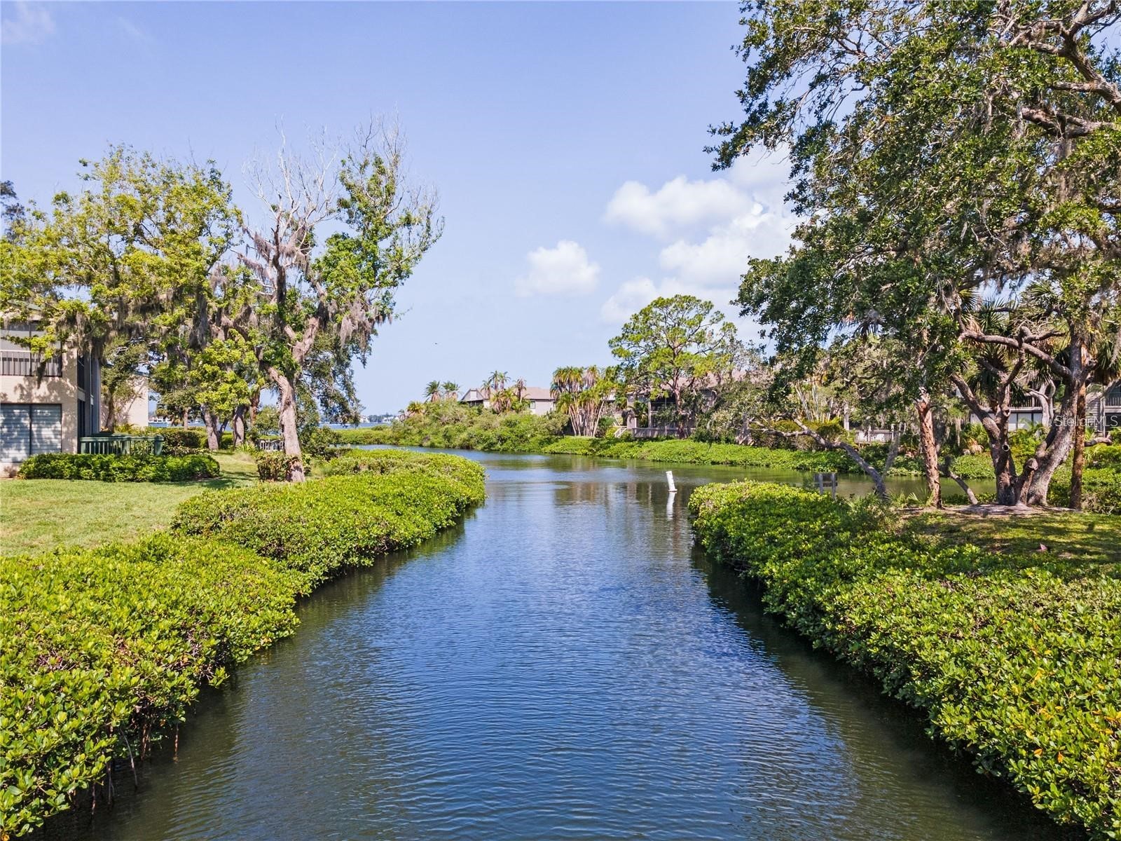 1647 Brookhouse Court #246 Sarasota FL 34231 A4689482 image24
