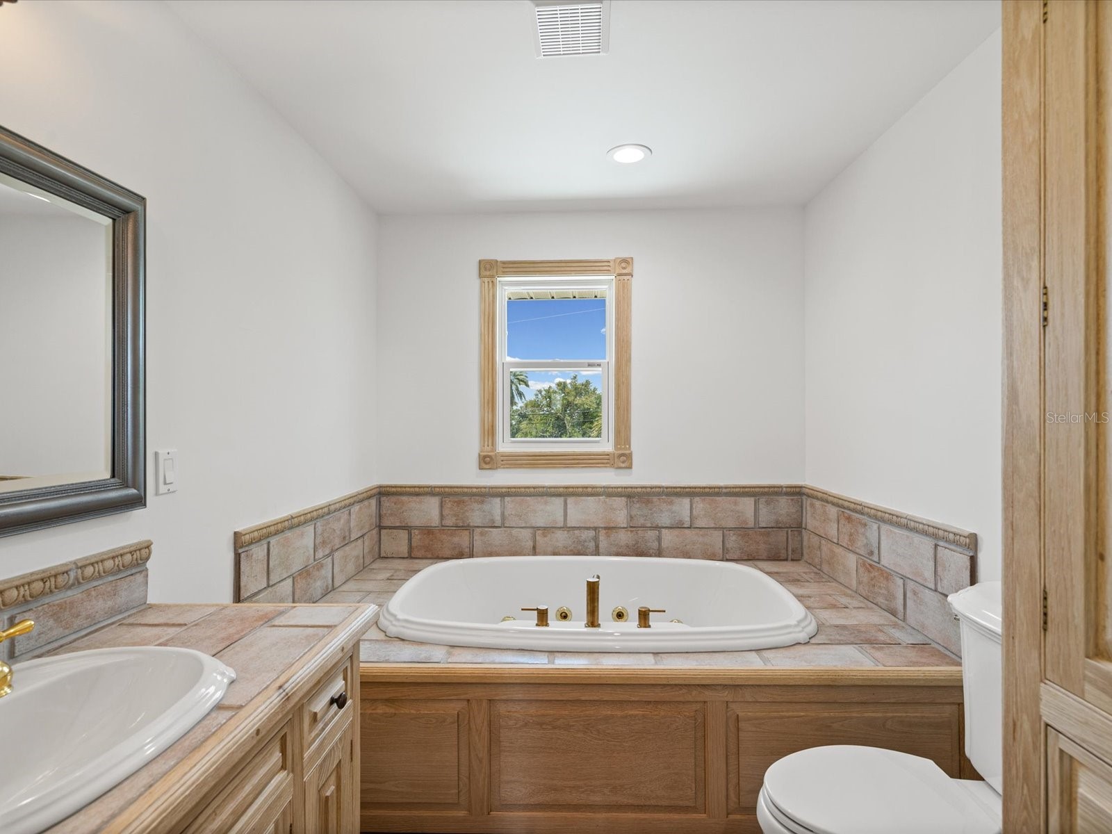 1647 Sea Breeze Drive Tarpon Springs FL 34689 - GULF OF MEXICO W7885418 image25