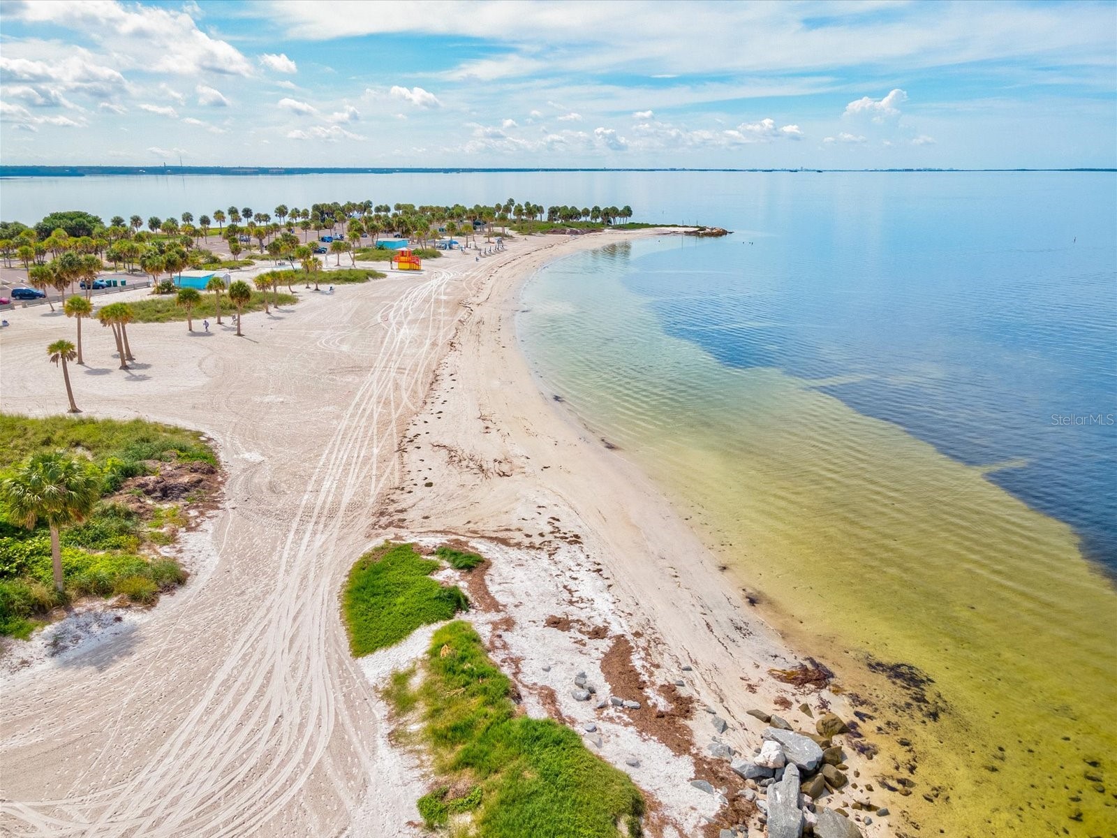 1647 Sea Breeze Drive Tarpon Springs FL 34689 - GULF OF MEXICO W7885418 image59