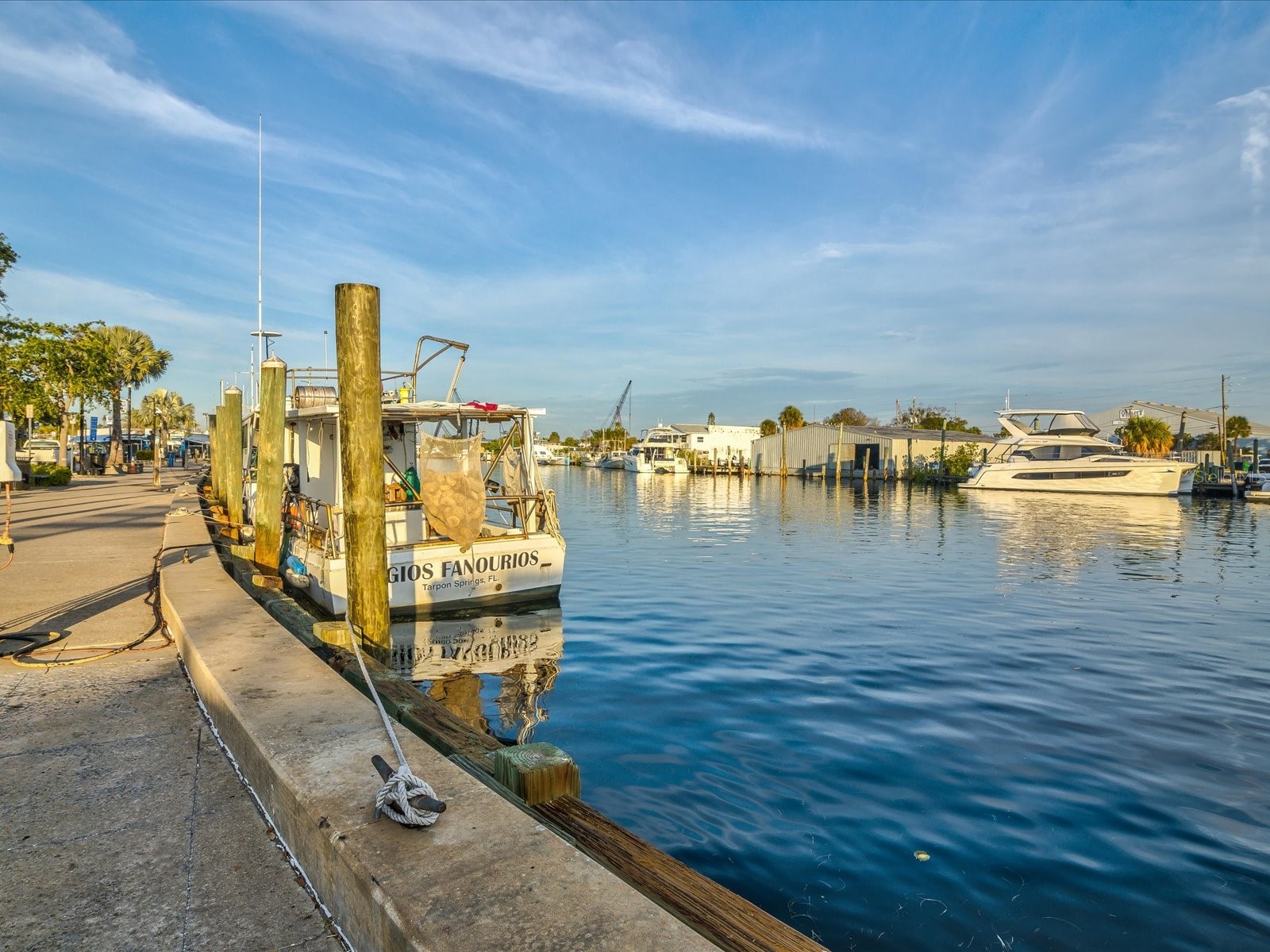 1647 Sea Breeze Drive Tarpon Springs FL 34689 - GULF OF MEXICO W7885418 image70