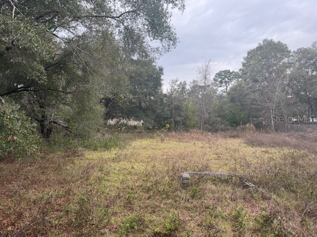 16472 Cortez Boulevard Brooksville FL 34601 W7871113 image15
