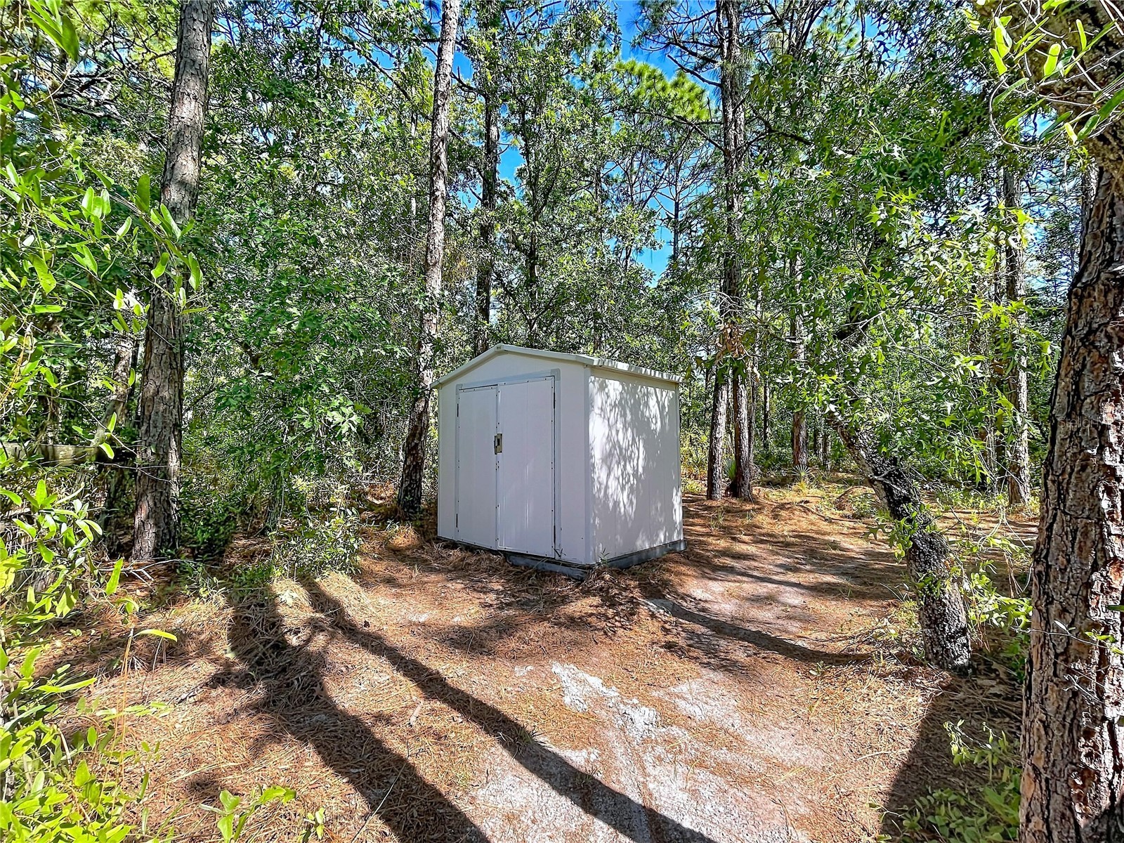 16475 Kids Ave Weeki Wachee FL 34614 W7880349 image87